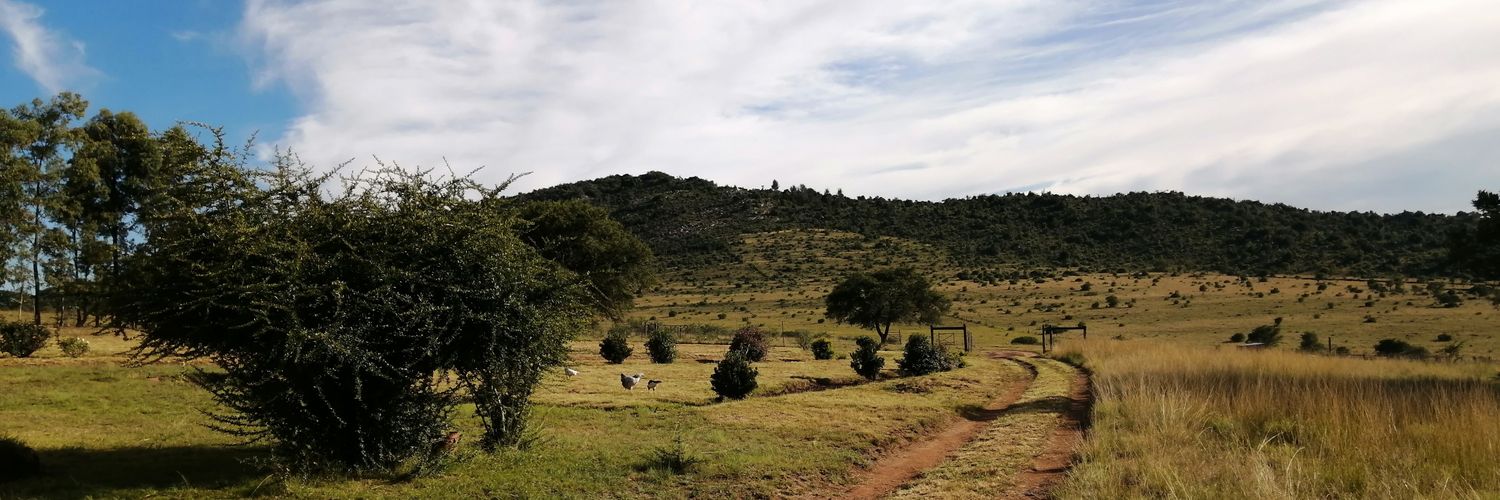 musathefoodie banner