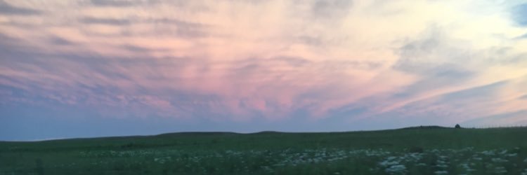 btaylormc's profile banner image