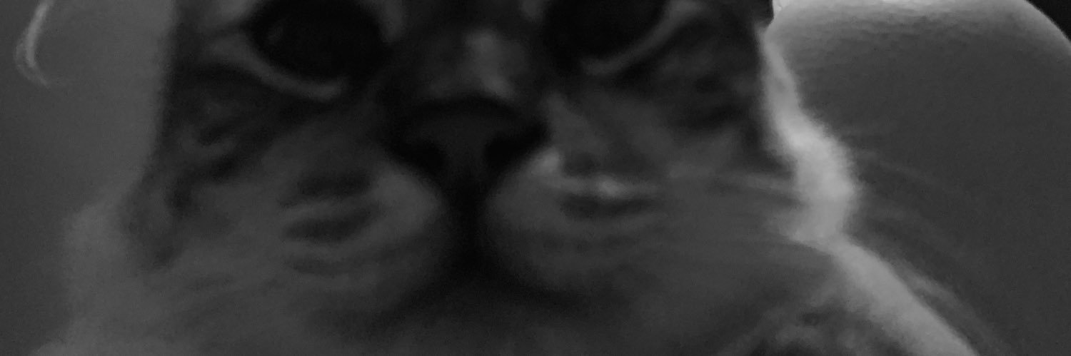 ˙ɐssʎɐɥʇ banner