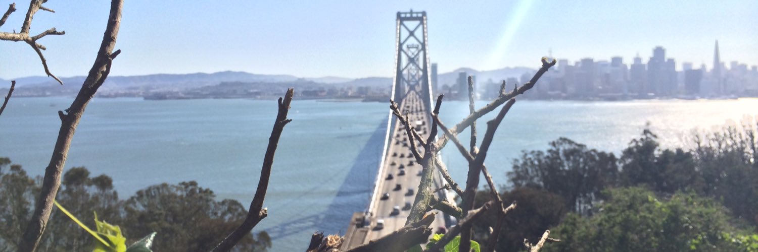 elphant_'s profile banner image