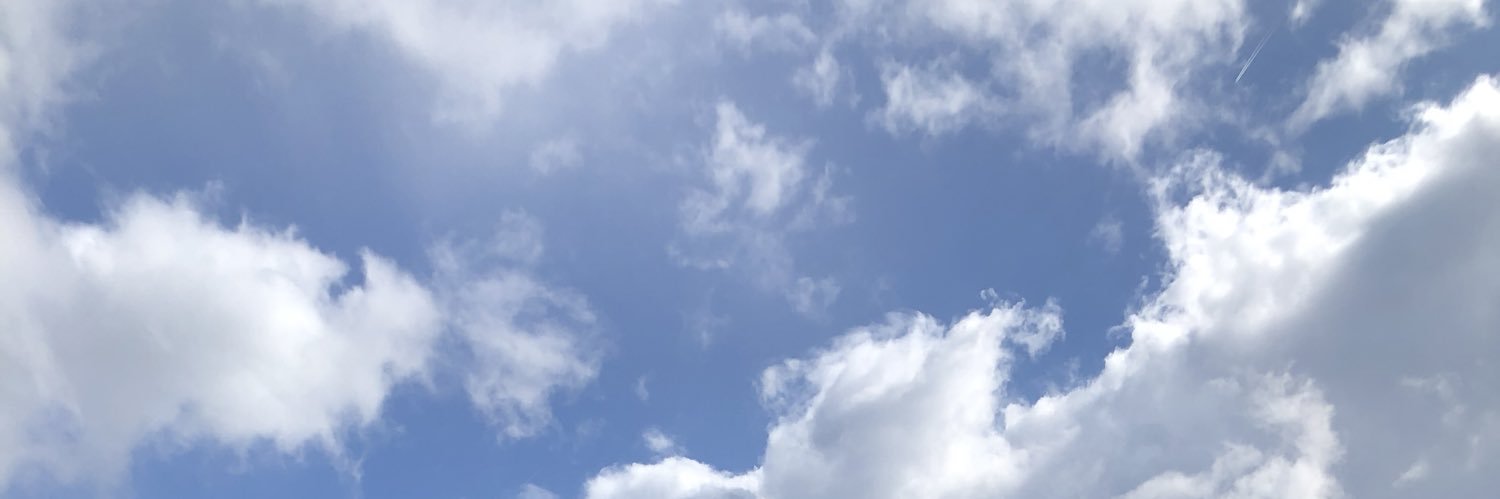 NoemieStevens's profile banner image