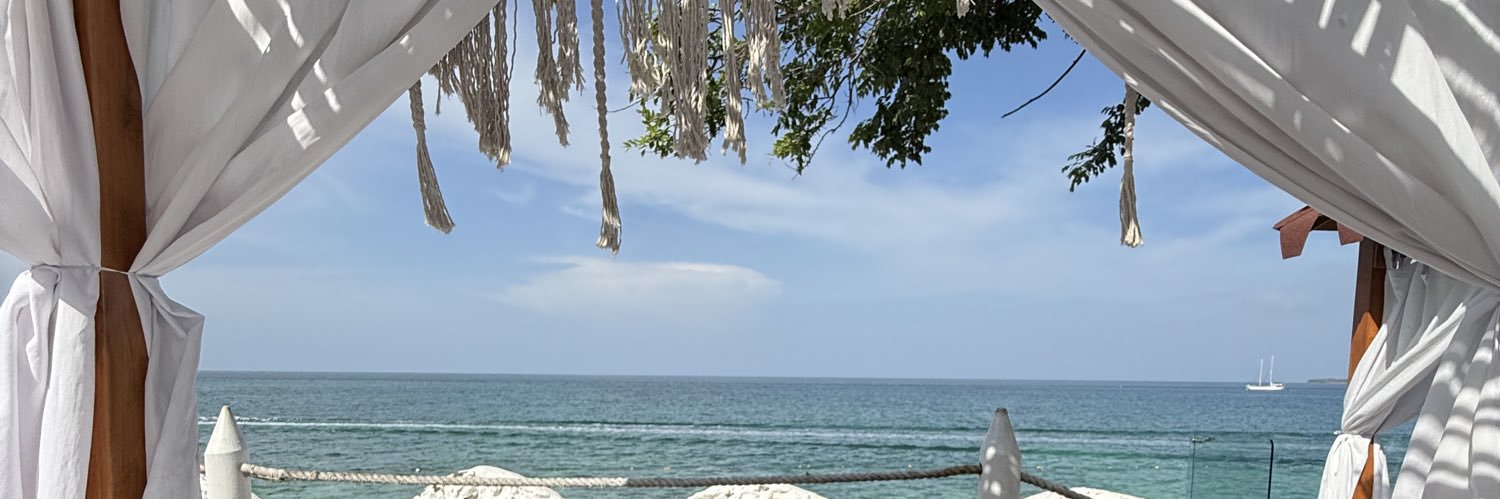 monnnieca's profile banner image