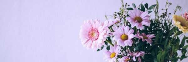 sa33skr Profile Banner