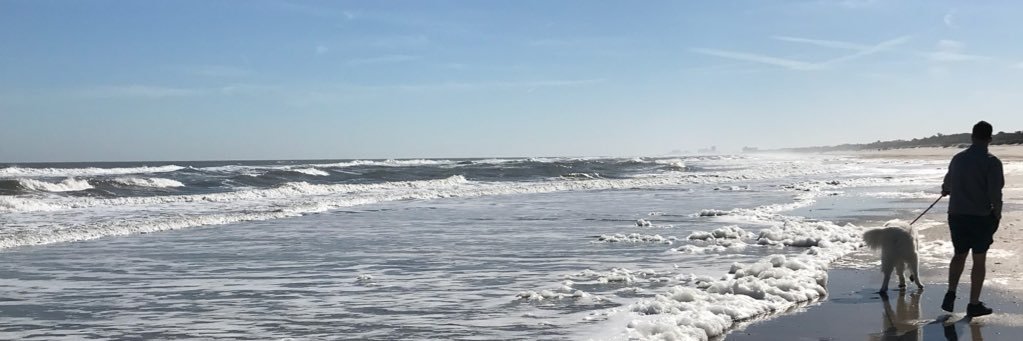 Calpaldn's profile banner image