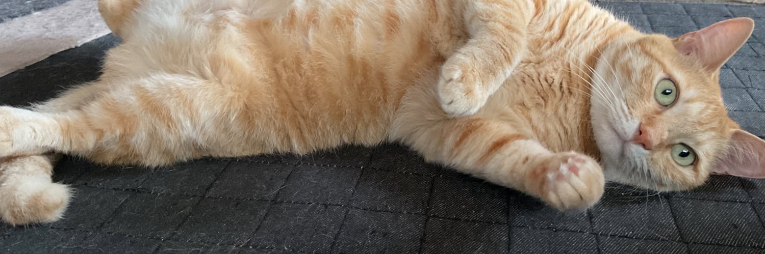 冬斗🦋「カレイドスコープの空と IMAGO」出ました🦋 banner