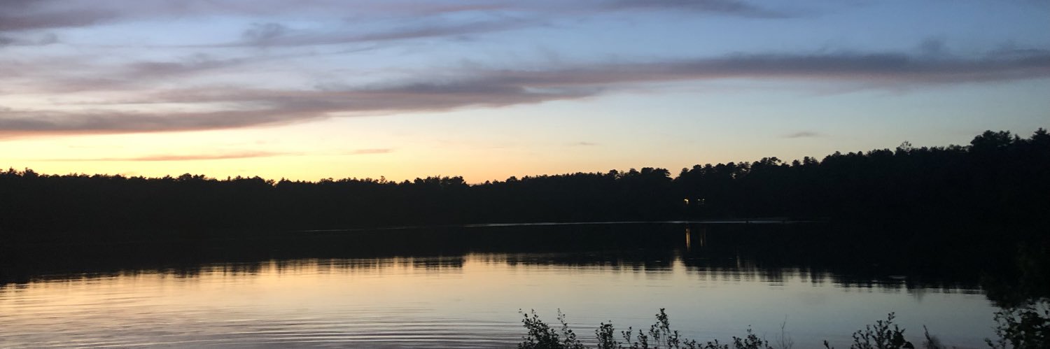 therealtsaint's profile banner image