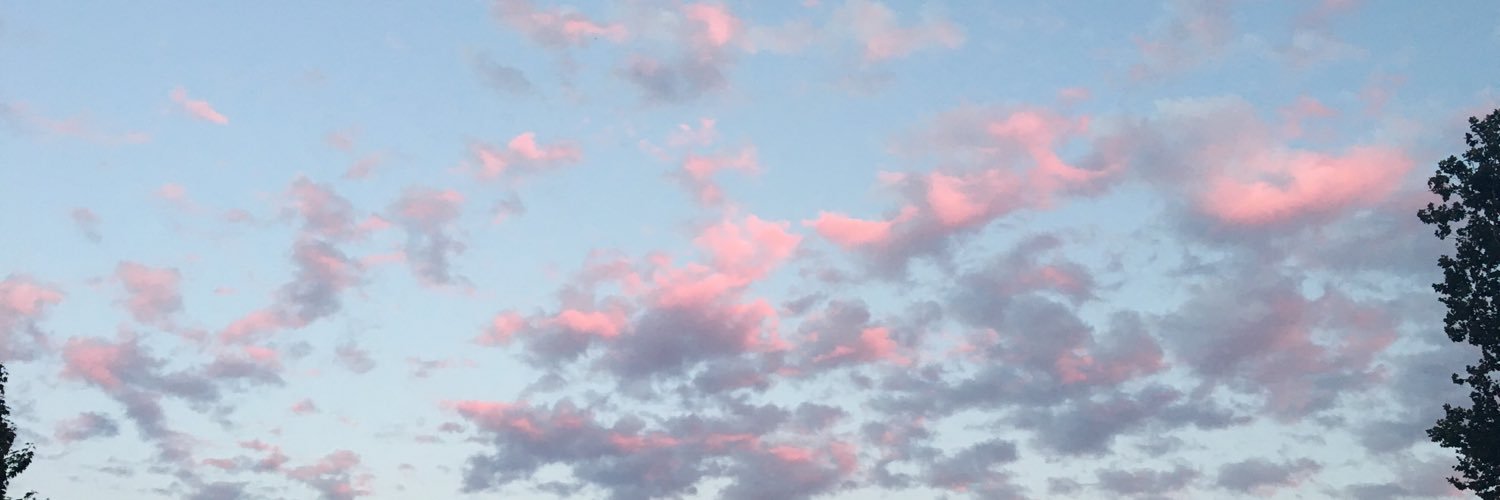 laurmarie95's profile banner image