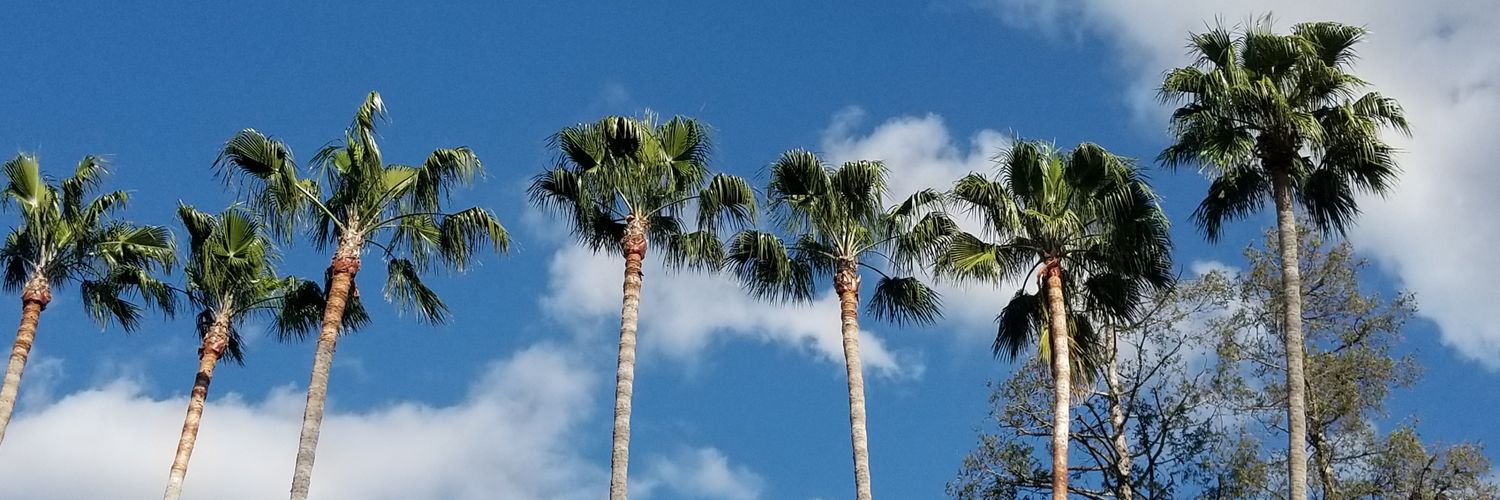 drkatesocal's profile banner image