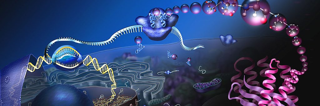 Jeff Didier, PhD banner