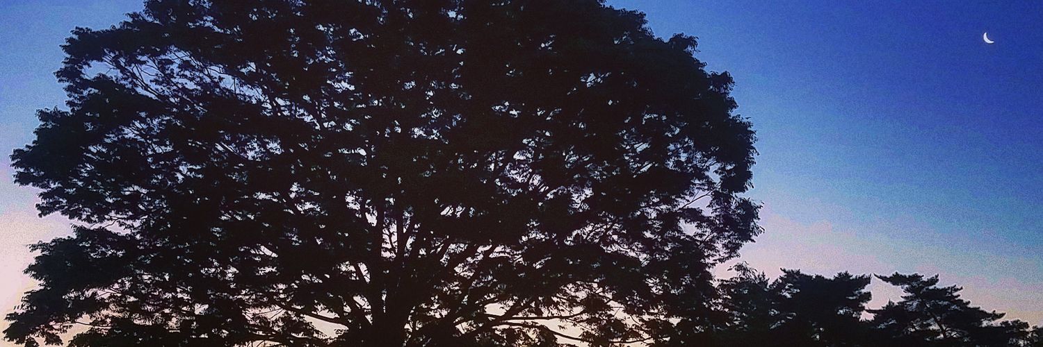 suddenlysteve's profile banner image