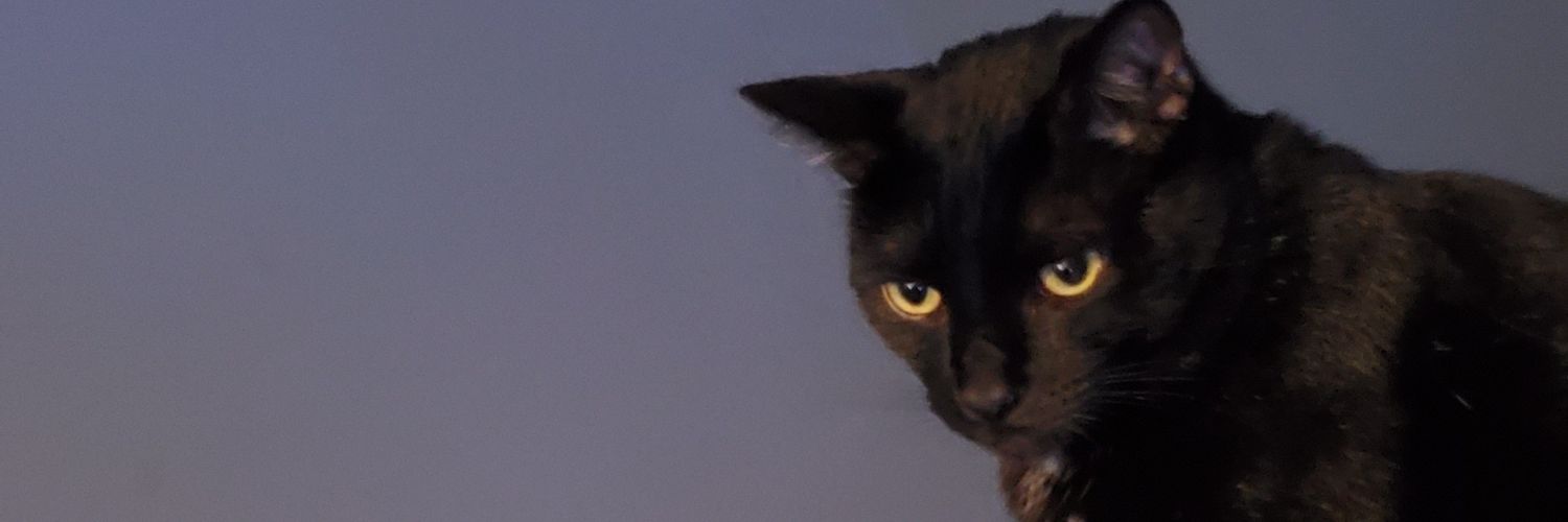 Deliroast20's profile banner image