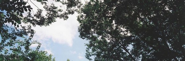 ballyturkmoco Profile Banner