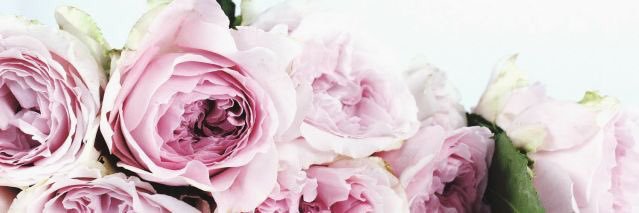 maeganbrignac's profile banner image