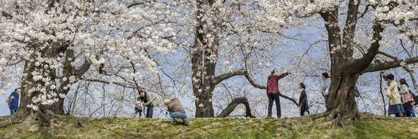 getakick Profile Banner