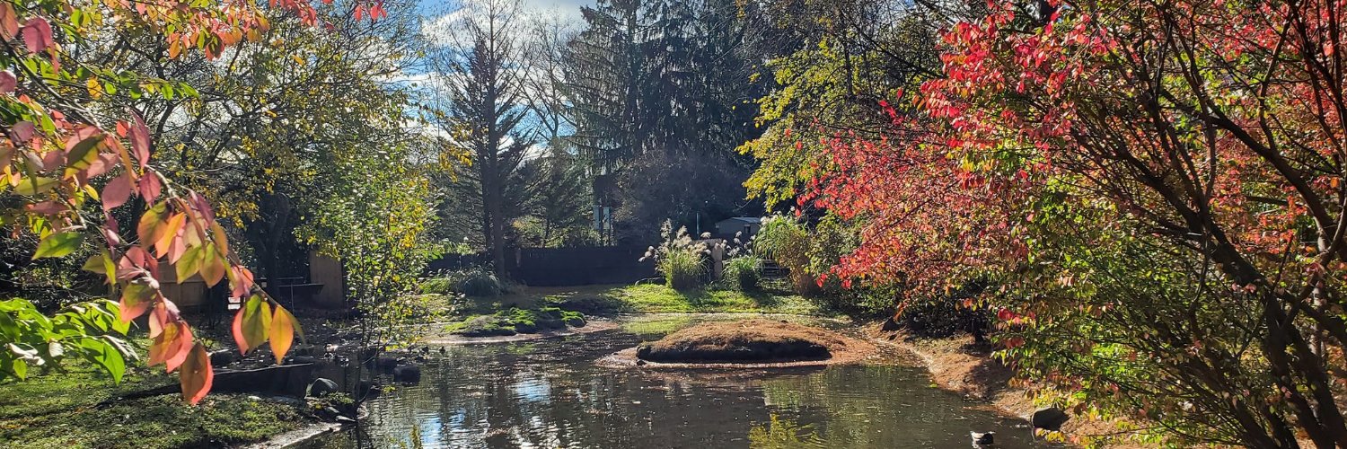 Fernand Bteich, MD, MS banner