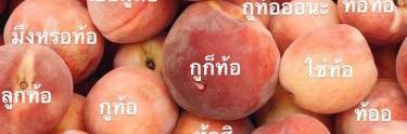 JAVIS banner