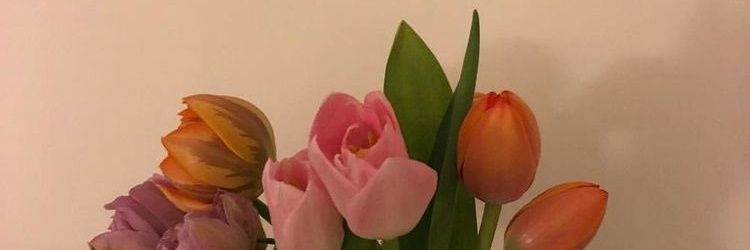Asavala01's profile banner image