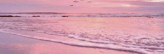 caa🌻 | lg overthinking banner