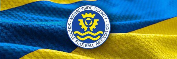 MCSFA2 Profile Banner