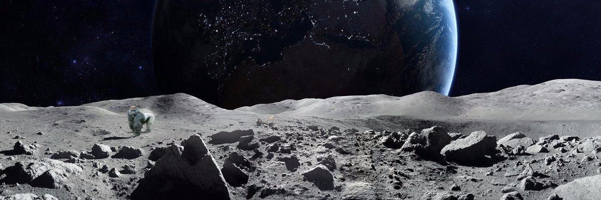 The Crypto Ape banner