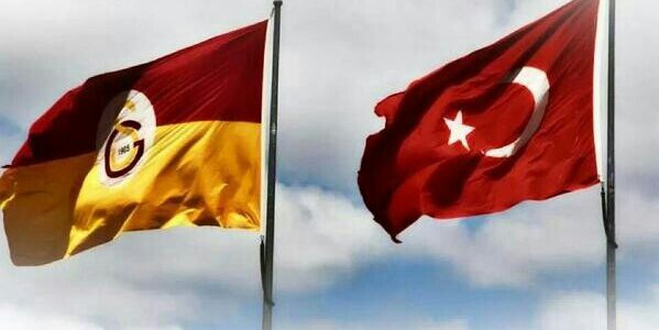 halilaydn's profile banner image