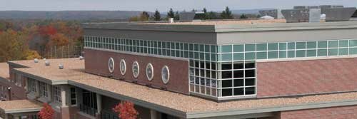 Benjamin Senior banner