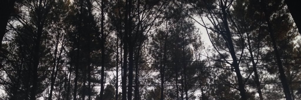 SonofMK's profile banner image