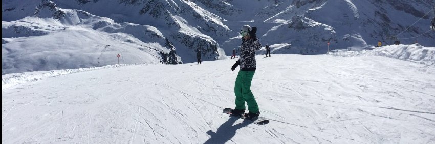 Professor Pam banner