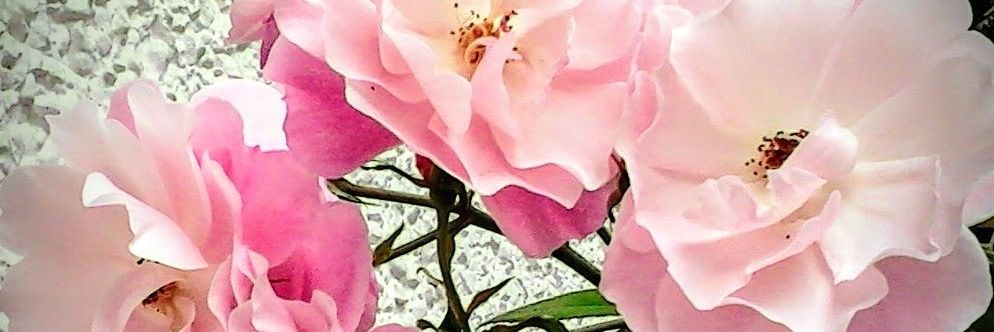 Be love - SaveOurPlanet banner