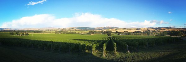 IrishGuildSomm Profile Banner