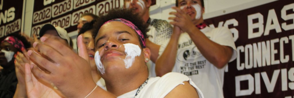 ⚔️Viking Valley⚔️ banner