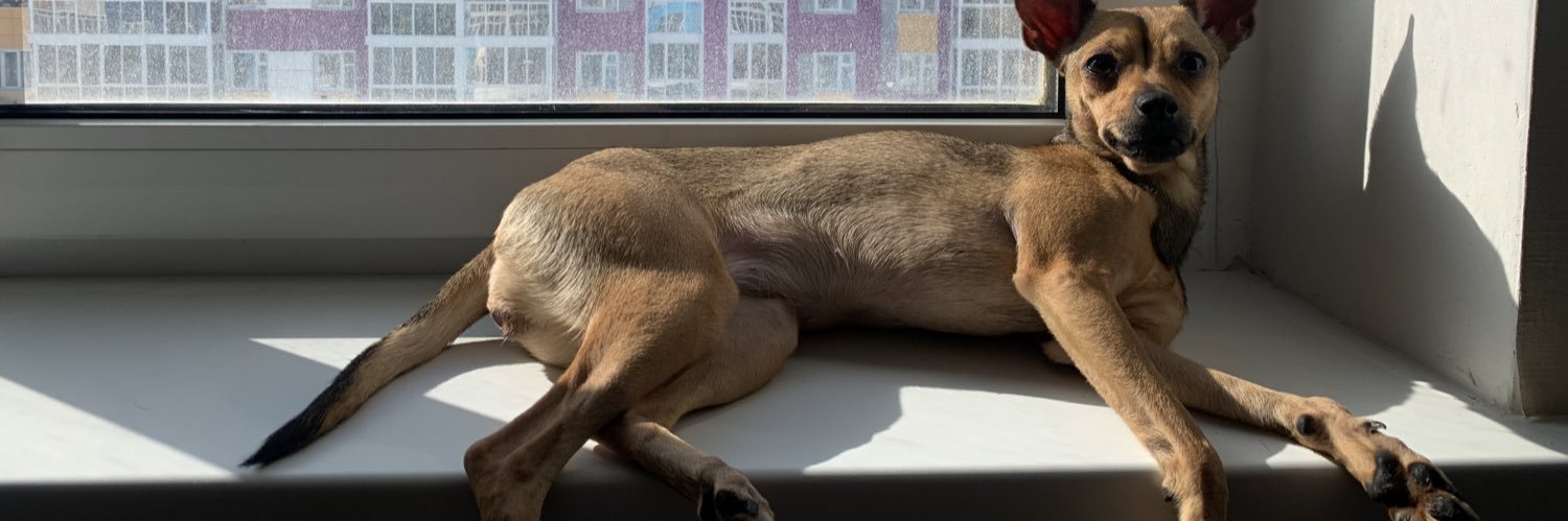 Тиэриллибит Хара Буор banner