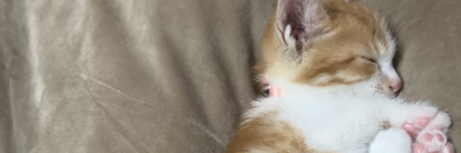 ままひこ banner