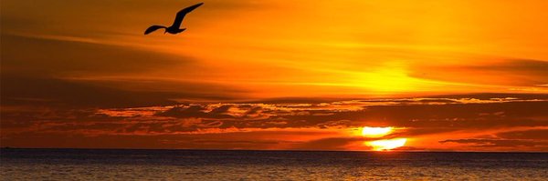 JesusBPSO Profile Banner