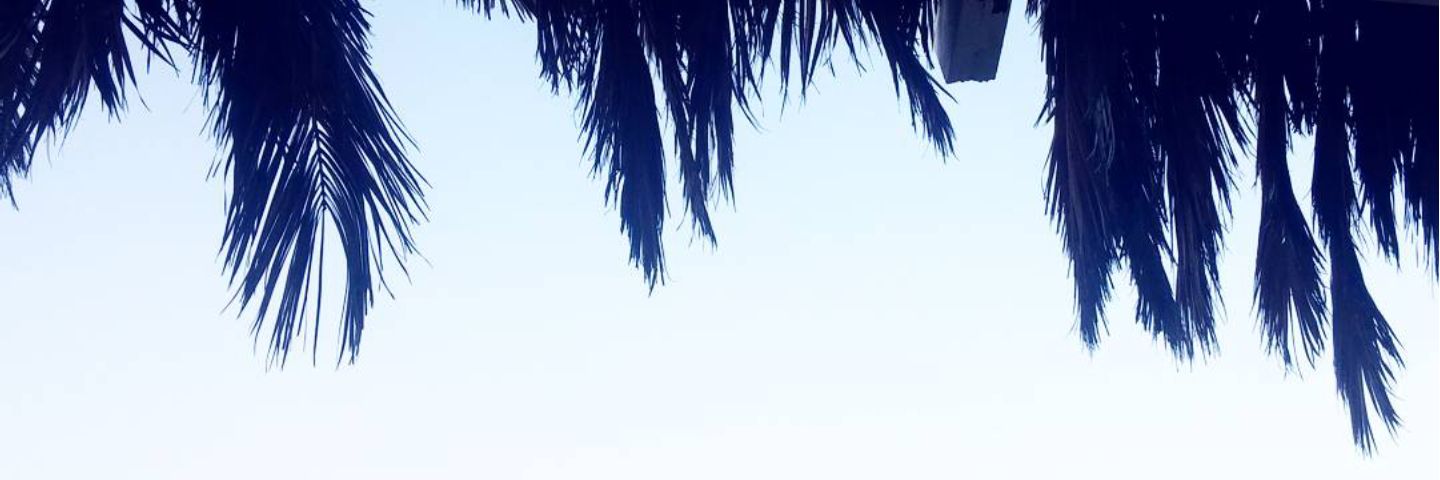 Klarawidmark's profile banner image