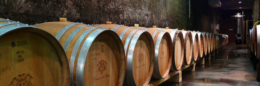 Famille Lançon banner