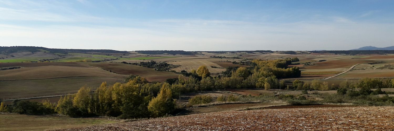 igna_malaguilla's profile banner image