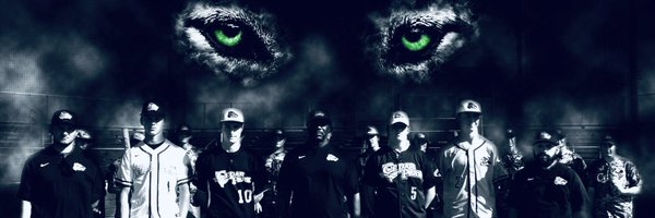 CPHS_BaseballBC Profile Banner