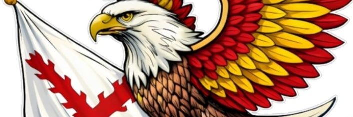 FGCarmelo's profile banner image