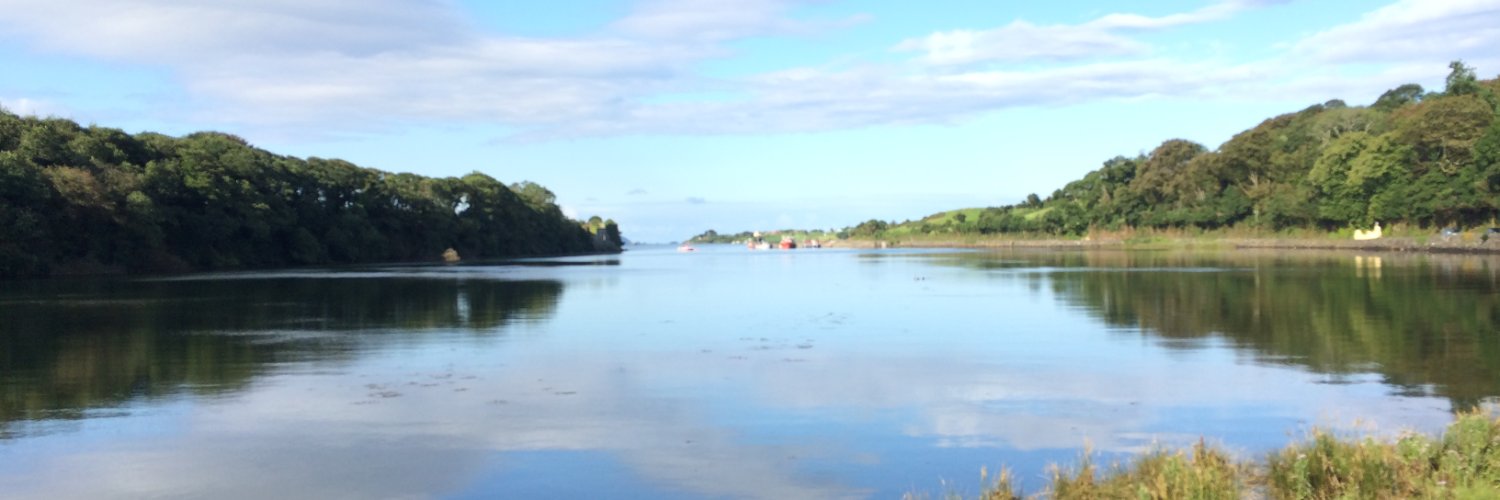 CarbonReporter banner