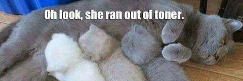 Andrew Klaprat banner