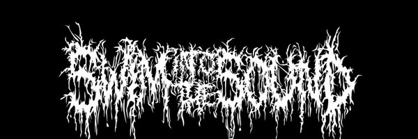 SwimIntoSound Profile Banner