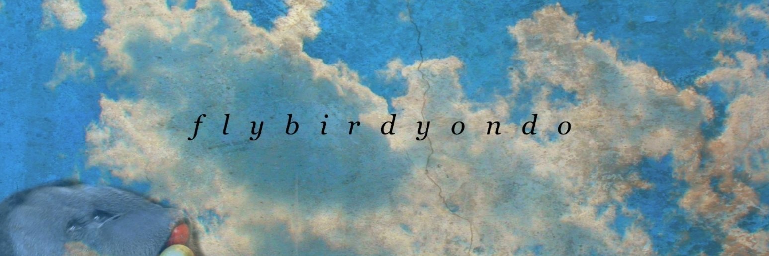 flybirdyondo's profile banner image