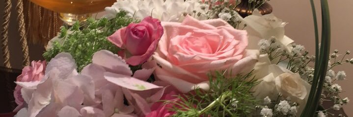 HabeebaSM's profile banner image