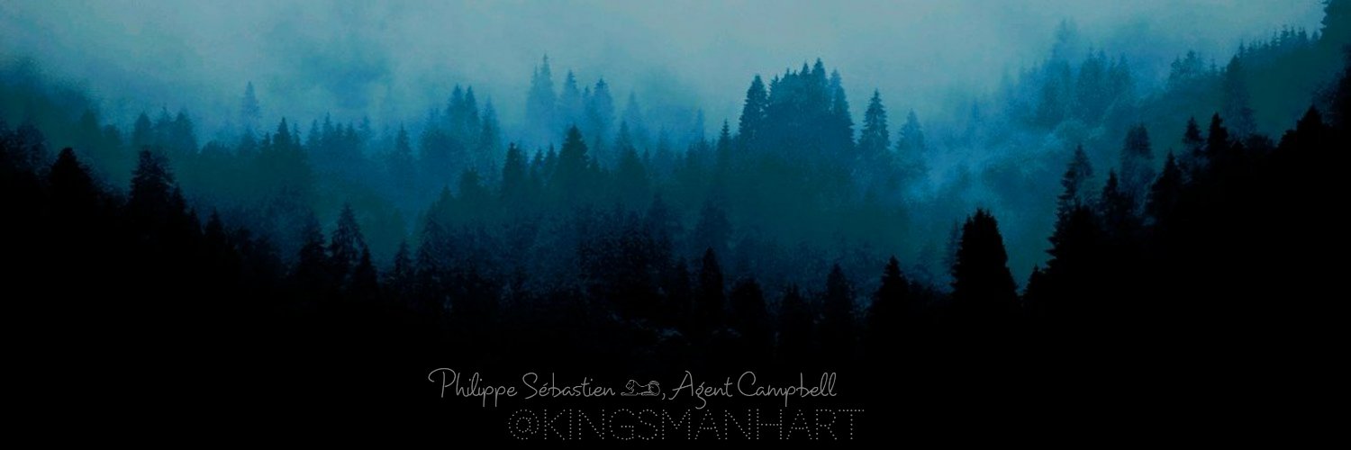 Philippe Sébastien 𓃭 ┊ Agent Campbell banner