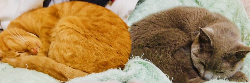 yamapy37's profile banner image