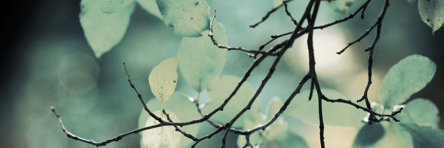 baconiso's profile banner image