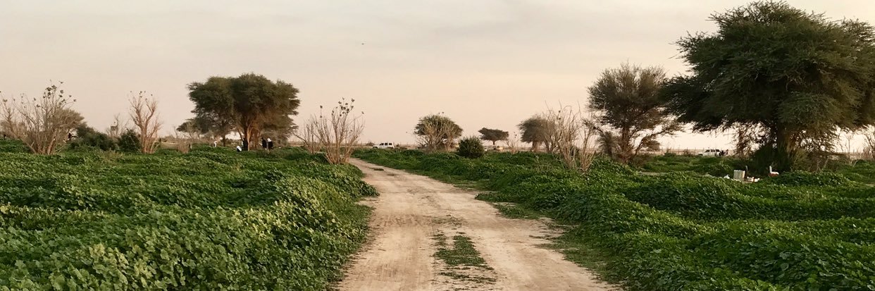 عبدالرحمن banner