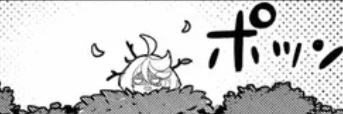 xulinha mifune da silveira banner