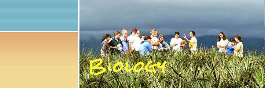 HicksLovesBio's profile banner image